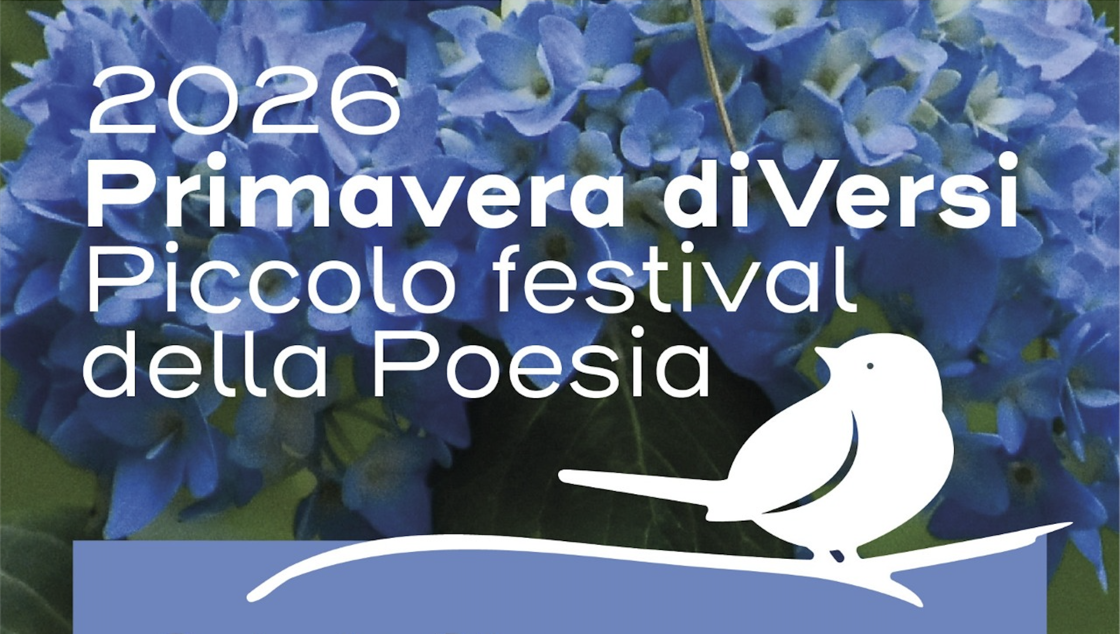 Banner_concorso_Semi_diVersi_2026.png